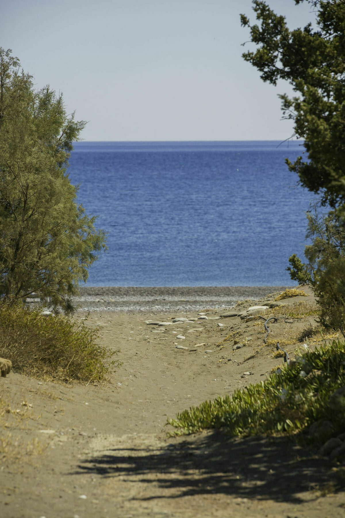 Antonoglou Beach Villas - Waterfront Luxury Retreat Λαχανιά Εξωτερικό φωτογραφία